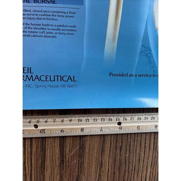 Vintage 1985 The Amazing Shoulder Poster McNeil Pharmaceutical Tylenol Promo - Picture 8 of 10